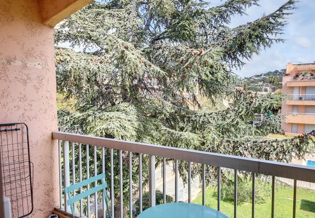 Apartment in Sainte-Maxime - APPARTEMENT AMARYLLIS Apartment in Sainte-Maxime - APPARTEMENT AMARYLLIS