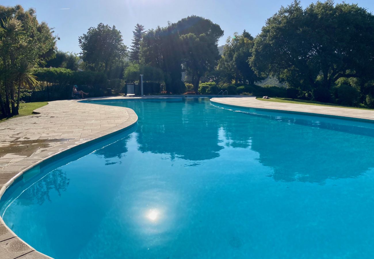 House in Le Plan-de-la-Tour - LE BON PLAN DE LA TOUR