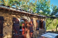 Studio in La Garde-Freinet - LE CABANON DANS LA FORET