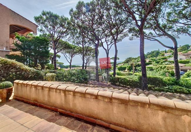 Apartment in Sainte-Maxime - APPARTEMENT LES ARBOUSIERS Apartment in Sainte-Maxime - APPARTEMENT LES ARBOUSIERS