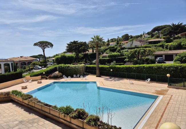  in Sainte-Maxime - APPARTEMENT LES ARBOUSIERS