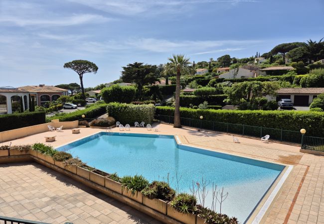 Apartment in Sainte-Maxime - APPARTEMENT LES ARBOUSIERS Apartment in Sainte-Maxime - APPARTEMENT LES ARBOUSIERS