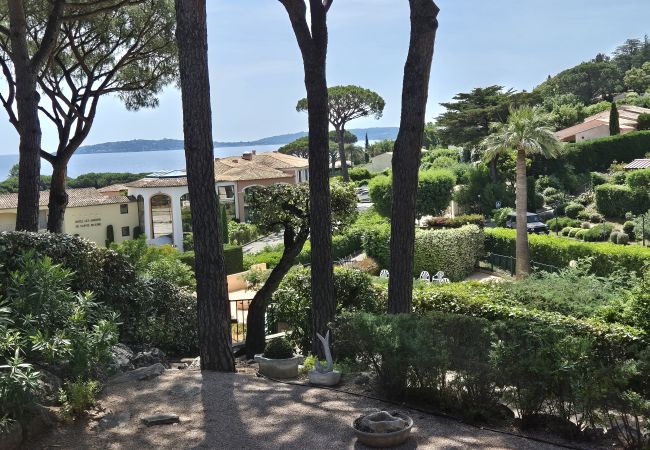 Apartment in Sainte-Maxime - APPARTEMENT LES ARBOUSIERS Apartment in Sainte-Maxime - APPARTEMENT LES ARBOUSIERS