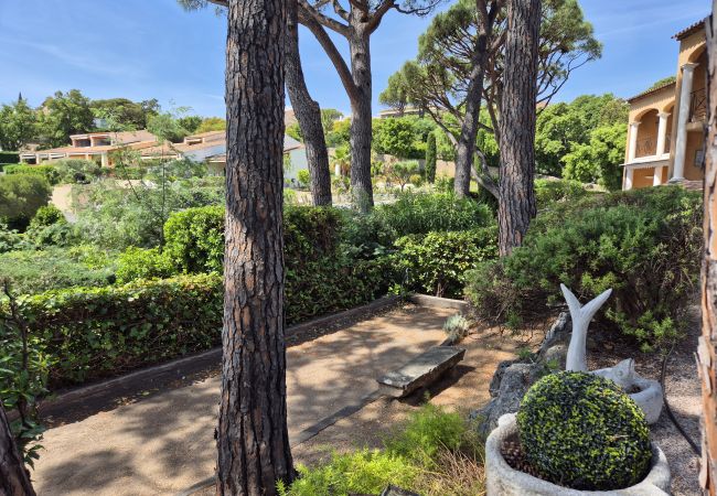 Apartment in Sainte-Maxime - APPARTEMENT LES ARBOUSIERS Apartment in Sainte-Maxime - APPARTEMENT LES ARBOUSIERS