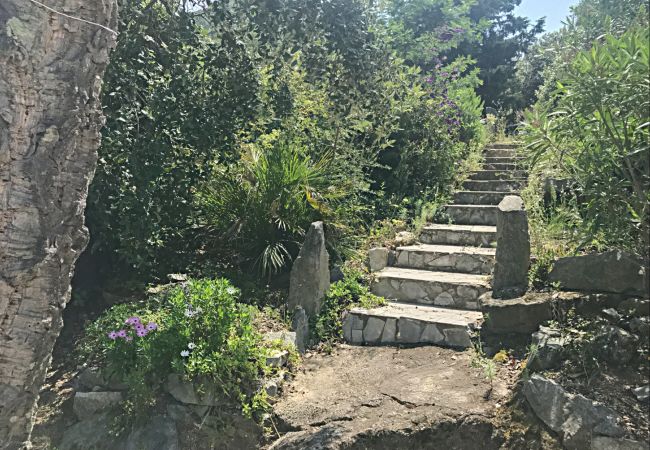 Maison à Le Plan-de-la-Tour - MAZET CORIOLAN DANS RÉSIDENCE PRIVÉE AVEC PISCINE Maison à Le Plan-de-la-Tour - MAZET CORIOLAN DANS RÉSIDENCE PRIVÉE AVEC PISCINE