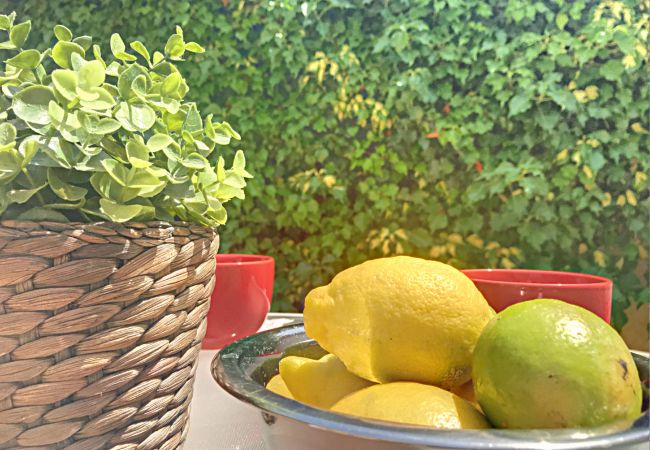 Maison à Le Plan-de-la-Tour - MAZET CORIOLAN DANS RÉSIDENCE PRIVÉE AVEC PISCINE Maison à Le Plan-de-la-Tour - MAZET CORIOLAN DANS RÉSIDENCE PRIVÉE AVEC PISCINE