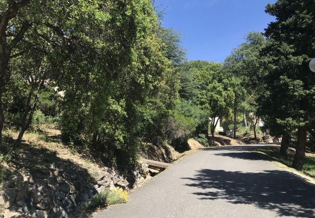 Maison à Le Plan-de-la-Tour - MAZET CORIOLAN DANS RÉSIDENCE PRIVÉE AVEC PISCINE Maison à Le Plan-de-la-Tour - MAZET CORIOLAN DANS RÉSIDENCE PRIVÉE AVEC PISCINE