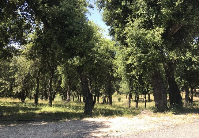 Maison à Le Plan-de-la-Tour - MAZET CORIOLAN DANS RÉSIDENCE PRIVÉE AVEC PISCINE Maison à Le Plan-de-la-Tour - MAZET CORIOLAN DANS RÉSIDENCE PRIVÉE AVEC PISCINE