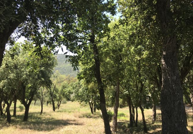 Maison à Le Plan-de-la-Tour - MAZET CORIOLAN DANS RÉSIDENCE PRIVÉE AVEC PISCINE Maison à Le Plan-de-la-Tour - MAZET CORIOLAN DANS RÉSIDENCE PRIVÉE AVEC PISCINE