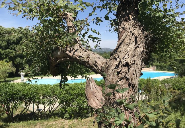 Maison à Le Plan-de-la-Tour - MAZET CORIOLAN DANS RÉSIDENCE PRIVÉE AVEC PISCINE Maison à Le Plan-de-la-Tour - MAZET CORIOLAN DANS RÉSIDENCE PRIVÉE AVEC PISCINE